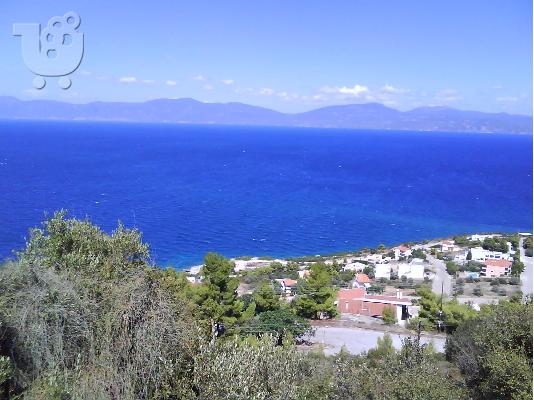 PoulaTo: οικόπεδο με θέα στο Θεολόγο